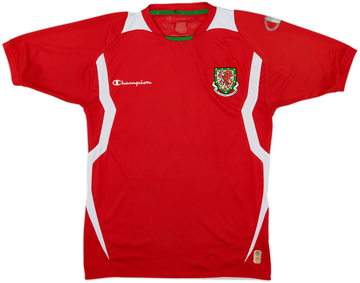Wales 2008-09 Home