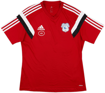 Cardiff City 2015-16 Training