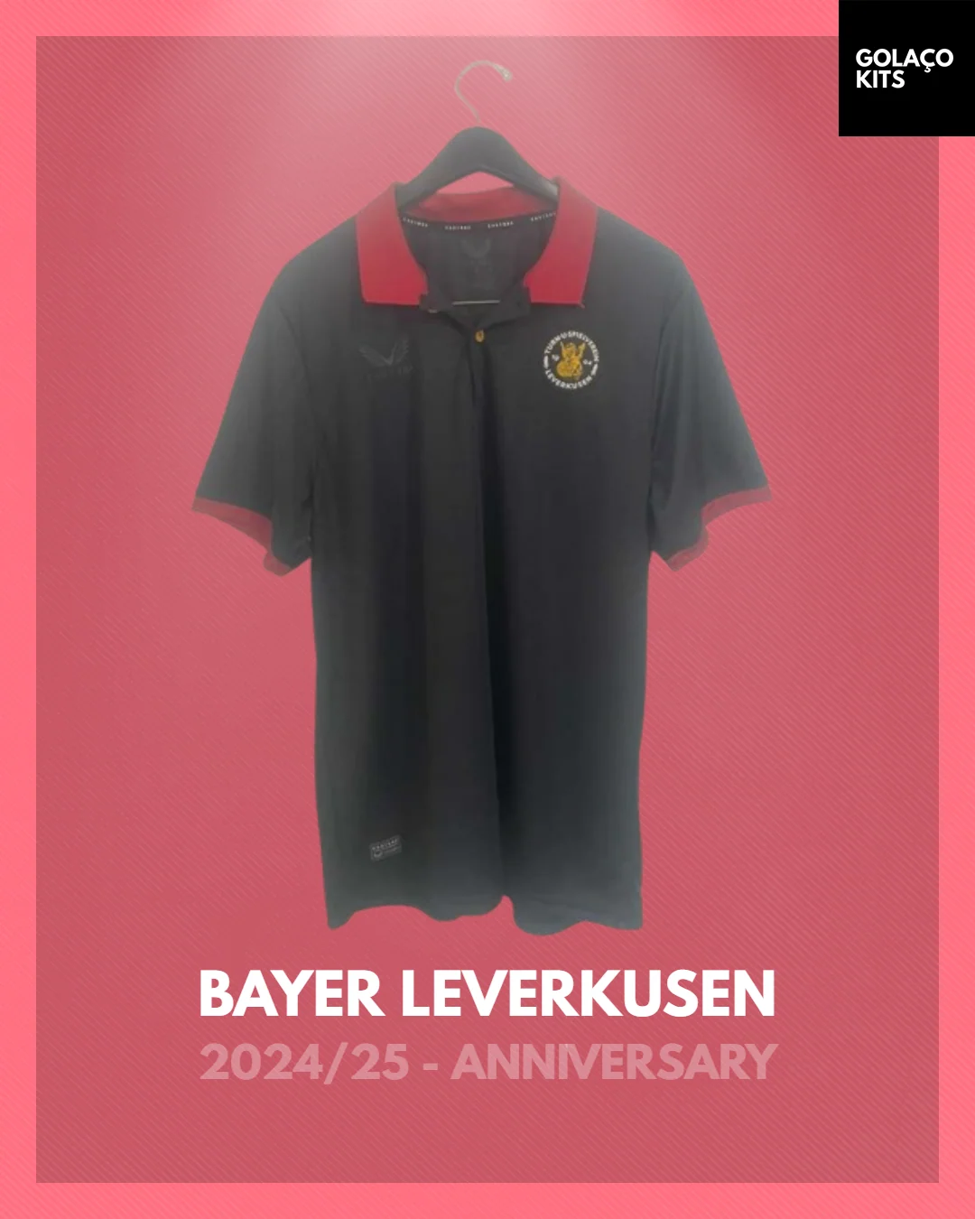 Bayer Leverkusen 2024-25 Special