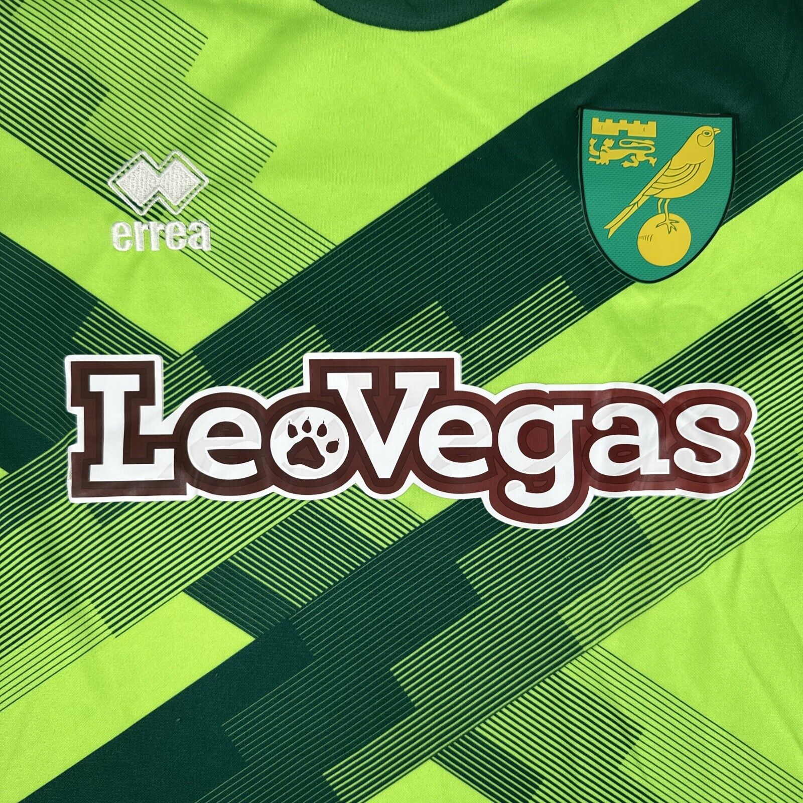Norwich City 2018-19 Third