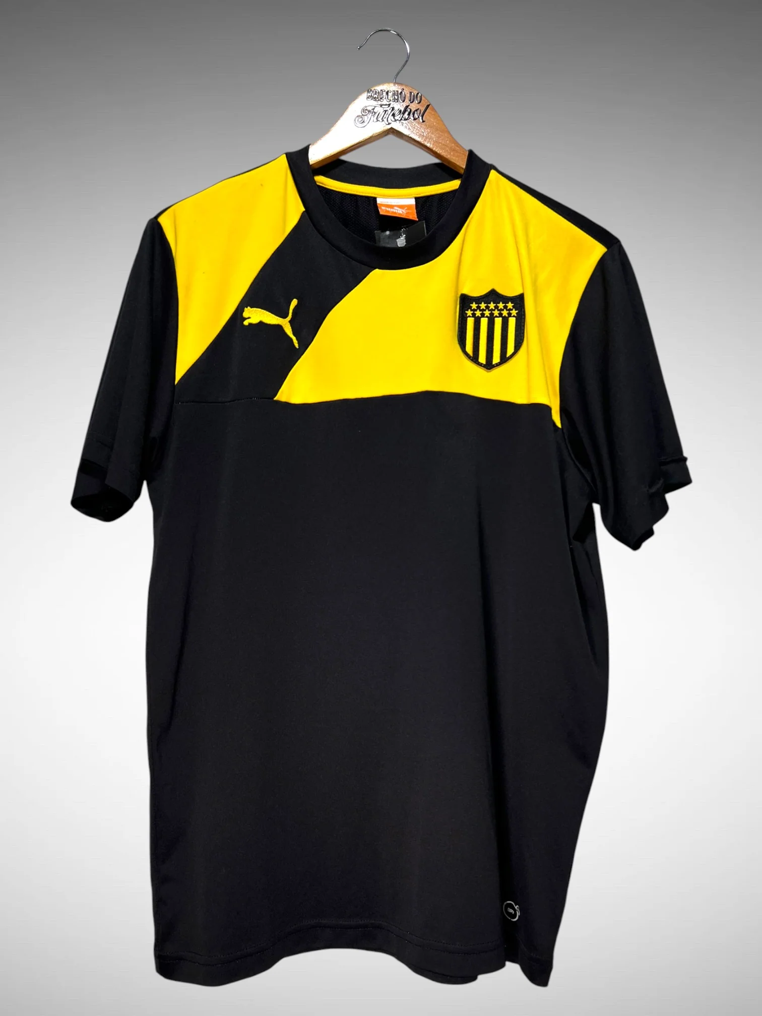 Penarol 2015 Training